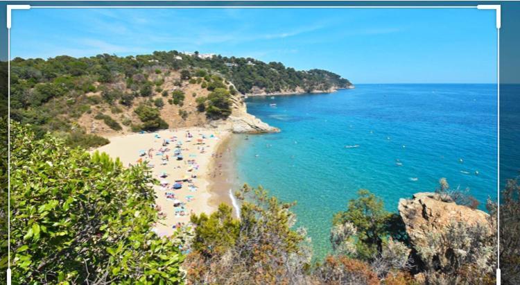 Cavalaire Vue Mer Au Loin Maisonnette Tout Equipee Pour 4 Personnes Avec Piscine Clim Wifi Velos Tv Barbecues エクステリア 写真
