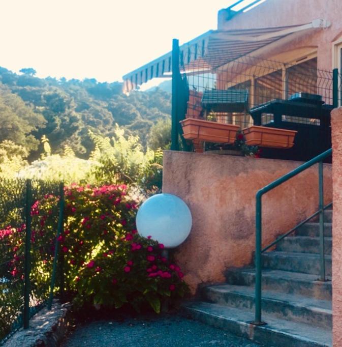 Cavalaire Vue Mer Au Loin Maisonnette Tout Equipee Pour 4 Personnes Avec Piscine Clim Wifi Velos Tv Barbecues エクステリア 写真